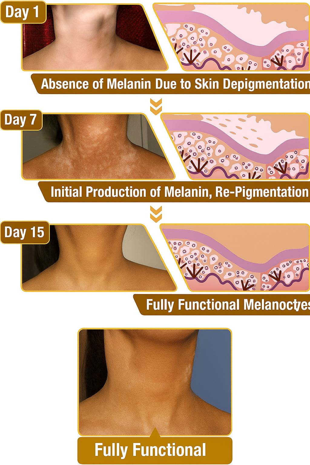 Revitalizing Bee Venom Cream – Natural Skin Restoration & Vitality