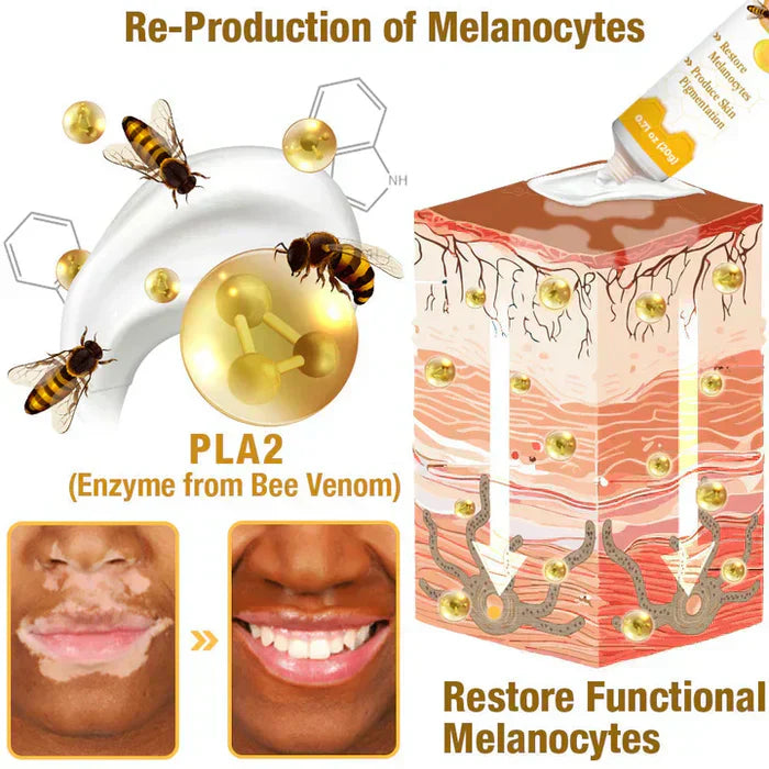 Revitalizing Bee Venom Cream – Natural Skin Restoration & Vitality